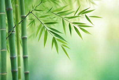 The primary subject of the image is a large green bamboo leaf. The leaf is prominently displayed in the foreground, with a bright green background. The visual style of the image is a close-up of the bamboo leaf, showcasing its texture and details. The colors and mood of the image are lively and vibrant, with the green bamboo leaf being the main focus and source of visual interest.