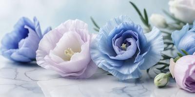 The primary subject of the image is a bouquet of three different colored flowers, which are purple, white, and blue. They are arranged in a vase, creating a visually appealing display. The setting is a table, and the visual style is a photo. The colors and mood of the image are predominantly purple, white, and blue, giving it a calm and serene atmosphere.