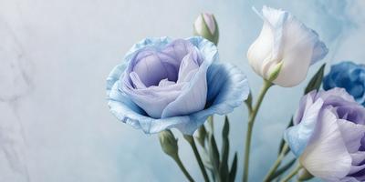 The primary subject of the image is a bouquet of three purple flowers with white petals, arranged in a vase. The setting is a blue background, which adds a calming and serene atmosphere to the scene. The visual style is a close-up of the flowers, showcasing their beauty and details. The colors and mood of the image are predominantly blue and purple, creating a sense of tranquility and elegance.