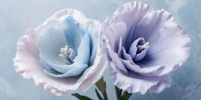 The primary subject of the image is a pair of purple and blue flowers. The flowers are placed in a vase, which is situated on a table. The setting appears to be a room with a blue background, giving the scene a calm and serene atmosphere. The visual style of the image is a close-up of the flowers, emphasizing their beauty and details.