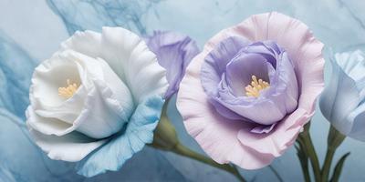 The primary subject of the image is a bouquet of three different colored flowers, with one being white, one being purple, and the third being blue. The flowers are arranged in a vase, which is placed on a table. The setting is indoors, with a wall visible in the background. The visual style of the image is a close-up of the flowers, showcasing their beauty and details. The colors and mood of the image are vibrant and lively, with the white, purple, and
