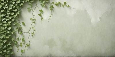 The primary subject of the image is a green plant with vines growing on a wall. The setting is an outdoor environment, with the plant growing on a concrete wall. The visual style is a photo, capturing the natural growth of the plant. The colors and mood of the image are predominantly green, with a sense of life and growth.
