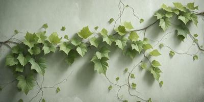 The primary subject of the image is a large green plant with long, thin leaves. The plant is growing on a wall, creating a unique and natural-looking display. The setting is an indoor environment, possibly a room or a garden, with a white wall serving as the backdrop. The visual style of the image is a combination of a photo and a drawing, giving it a realistic yet artistic appearance. The dominant colors in the image are green, which is the color of the plant, and white, which is the color of