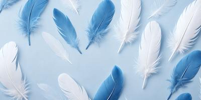 The primary subject of the image is a collection of blue and white feathers. These feathers are arranged in a visually appealing manner, creating a sense of harmony and balance. The setting is a blue background, which provides a contrasting and complementary color to the feathers. The visual style of the image is a combination of photo and digital art, as the feathers are captured in a detailed and artistic manner. The colors and mood of the image are predominantly blue and white, giving it a calm and ser