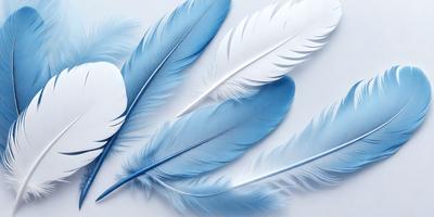 The primary subject of the image is a collection of blue and white feathers. The feathers are arranged in a visually appealing manner, creating a sense of depth and dimension. The setting is a white background, which provides a clean and uncluttered environment for the feathers to stand out. The visual style of the image is a combination of photo and digital art, as the feathers appear to be realistic yet have a slightly manipulated appearance. The colors and mood of the image are predominantly blue and white,