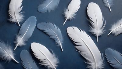 The primary subject of the image is a collection of white feathers, which are the primary focus of the scene. The feathers are arranged on a blue surface, creating a visually appealing contrast between the white feathers and the dark blue background. The visual style of the image is a close-up of the feathers, showcasing their intricate details and textures. The overall atmosphere of the image is serene and elegant, with the white feathers symbolizing purity and grace.