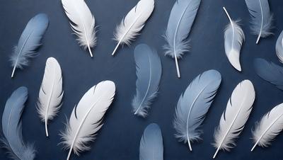 The primary subject of the image is a collection of white feathers, which are arranged in a visually appealing manner. The feathers are displayed on a blue surface, creating a striking contrast between the white feathers and the dark blue background. The visual style of the image is a combination of photo and digital art, as the feathers are carefully positioned and arranged to create a cohesive and aesthetically pleasing composition. The overall atmosphere of the image is serene and calming, with the white feathers symbolizing