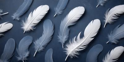 The primary subject of the image is a collection of white feathers, which are arranged in a visually appealing manner. The feathers are displayed against a blue background, creating a striking contrast. The visual style of the image is a close-up of the feathers, showcasing their intricate details. The colors and mood of the image are predominantly blue and white, giving it a serene and elegant appearance.