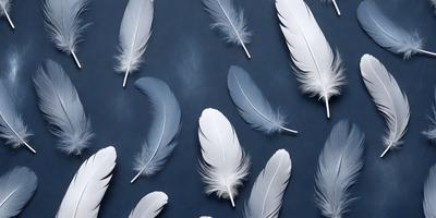 The primary subject of the image is a collection of white feathers, which are arranged in a pattern on a blue surface. The feathers are spread out, creating a visually appealing and artistic display. The setting appears to be a studio or a controlled environment, as the feathers are neatly arranged and the overall atmosphere is calm and serene. The visual style of the image is a combination of photo and digital art, as the feathers are captured in a detailed and realistic manner, while the arrangement and overall composition suggest a