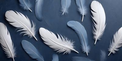 The primary subject of the image is a collection of white feathers, which are arranged in various positions on a blue surface. The setting appears to be a studio or a controlled environment, as the feathers are neatly placed and organized. The visual style of the image is a combination of photo and digital art, as the feathers are captured in a realistic manner while the blue background adds a touch of creativity. The colors and mood of the image are predominantly blue and white, creating a serene and calming atmosphere.