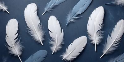The primary subject of the image is a collection of white feathers. There are six white feathers in total, arranged in a visually appealing manner. The setting is a blue surface, which serves as the background for the feathers. The visual style of the image is a close-up of the feathers, showcasing their details and textures. The colors and mood of the image are predominantly white, giving it a clean and serene atmosphere.