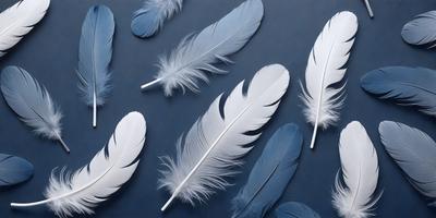 The primary subject of the image is a collection of white feathers, which are arranged in a visually appealing manner. The feathers are placed on a blue surface, creating a striking contrast between the white feathers and the blue background. The visual style of the image is a close-up of the feathers, showcasing their intricate details and textures. The overall atmosphere of the image is serene and elegant, with the white feathers symbolizing purity and grace.