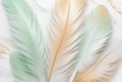 The primary subject of the image is a close-up of a white and orange feather. The setting is a white background, which provides a clean and minimalistic environment for the feather. The visual style is a photo, capturing the intricate details of the feather. The colors and mood of the image are predominantly white and orange, creating a sense of warmth and natural beauty.