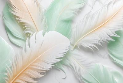 The primary subject of the image is a close-up of a white and green feather. The setting is a white background, which provides a clean and minimalistic environment. The visual style is a photo, capturing the intricate details of the feather. The colors and mood of the image are predominantly white and green, creating a sense of freshness and natural beauty.