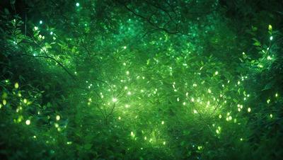 The primary subject of the image is a lush green forest filled with bright green lights. The setting is a dense forest with many trees, creating a serene and peaceful atmosphere. The visual style is a combination of a photo and digital art, as the green lights create a unique and captivating effect. The colors and mood of the image are predominantly green, with the bright lights adding a sense of wonder and enchantment to the scene.