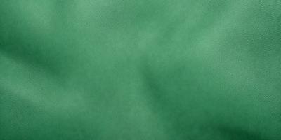 The primary subject of the image is a close-up of a green leather surface. The setting is a room with a green background. The visual style is a photo, and the colors and mood are predominantly green, giving the image a calm and soothing atmosphere.