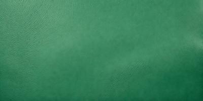 The primary subject of the image is a green leather surface. The setting is a close-up of the leather, which appears to be a leather case or a leather-like material. The visual style is a close-up of the leather, and the colors and mood are predominantly green, giving the image a calm and natural atmosphere.