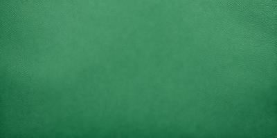 The primary subject of the image is a green leather surface. The setting is a close-up of the leather, which appears to be a leather case or a leather-like material. The visual style is a close-up of the leather, and the colors and mood are predominantly green, giving the image a calm and natural atmosphere.