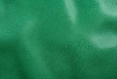 The primary subject of the image is a green leather surface, which appears to be a leather jacket or a leather-like material. The setting is a close-up of the leather surface, showcasing its texture and color. The visual style is a realistic representation of the leather material, and the colors and mood are predominantly green, giving the image a natural and earthy feel.