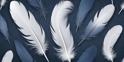 The primary subject of the image is a collection of white feathers. The feathers are arranged in a visually appealing manner, creating a sense of harmony and balance. The setting is a dark background, which contrasts with the white feathers, emphasizing their beauty. The visual style of the image is a combination of photo and digital art, as it captures the intricate details of the feathers while maintaining a clean and modern appearance. The colors and mood of the image are predominantly white, which gives it