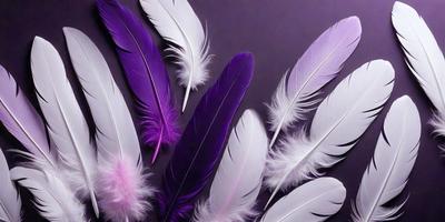 The primary subject of the image is a collection of white and purple feathers. The feathers are arranged in a visually appealing manner, creating a sense of harmony and balance. The setting is a dark background, which contrasts with the vibrant colors of the feathers. The visual style of the image is a close-up of the feathers, showcasing their intricate details and textures. The colors and mood of the image are predominantly purple and white, giving it a serene and