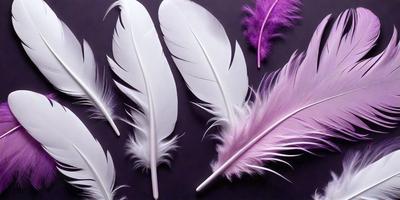The primary subject of the image is a collection of white and purple feathers. The feathers are arranged on a black background, creating a striking contrast between the feathers and the dark surface. The visual style of the image is a close-up of the feathers, showcasing their intricate details and textures. The colors and mood of the image are predominantly dark and dramatic, with the white and purple feathers standing out against the black background.