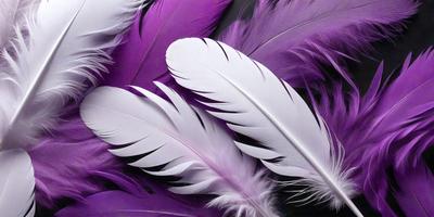 The primary subject of the image is a close-up of a white and purple feather. The setting is a black background, which contrasts with the feather's colors. The visual style appears to be a photo, as it captures the intricate details of the feather. The dominant colors are white and purple, creating a visually striking and elegant scene.