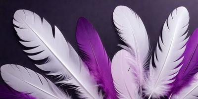 The primary subject of the image is a close-up of a purple and white feather. The setting is a dark background, which contrasts with the vibrant colors of the feather. The visual style appears to be a photo, as it captures the intricate details of the feather. The dominant colors are purple and white, creating a striking and eye-catching contrast against the dark background.