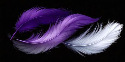Purple and white feathers are the primary subject of the image. The feathers are arranged in a way that they appear to be intertwined or overlapping. The setting is a dark background, which contrasts with the vibrant colors of the feathers. The visual style is a close-up of the feathers, showcasing their intricate details. The dominant colors are purple and white, creating a sense of elegance and beauty.