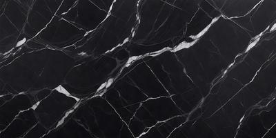 The primary subject of the image is a black and white marble tile. The setting is a black background, which contrasts with the marble tile. The visual style is a close-up of the marble tile, showcasing its intricate patterns and textures. The colors and mood of the image are predominantly black and white, giving it a classic and elegant appearance.