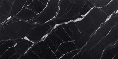 The primary subject of the image is a black and white marble countertop. The setting is a kitchen, with the countertop being the main focus of the scene. The visual style is a photo, capturing the intricate patterns and textures of the marble countertop. The colors and mood of the image are predominantly black and white, giving it a classic and elegant appearance.