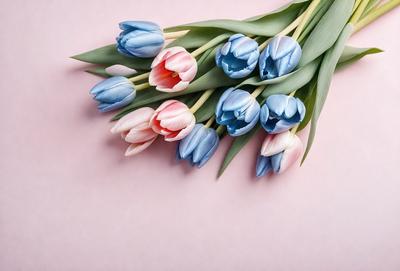 The primary subject of the image is a bouquet of tulips, which are the main objects in the scene. The setting is a pink background, and the visual style appears to be a photo. The bouquet consists of various shades of pink and blue tulips, creating a vibrant and colorful atmosphere.