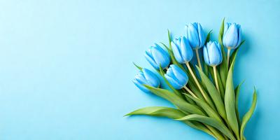 The primary subject of the image is a bouquet of blue tulips. The setting is a blue background, which creates a visually appealing contrast with the vibrant blue flowers. The visual style is a close-up of the flowers, showcasing their details and beauty. The colors and mood of the image are predominantly blue, giving it a calm and serene atmosphere.