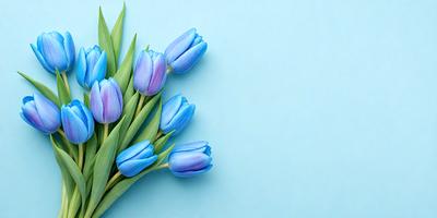 The primary subject of the image is a bouquet of blue tulips. The setting is a blue wall, which serves as the backdrop for the flowers. The visual style is a close-up of the flowers, showcasing their vibrant blue color. The overall atmosphere is serene and calming, as the blue tulips create a peaceful and soothing scene.