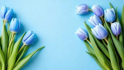 The primary subject of the image is a bouquet of blue tulips. The setting is a blue wall, which serves as the backdrop for the flowers. The visual style is a close-up of the flowers, showcasing their vibrant blue color. The overall atmosphere is serene and calming, as the blue tulips are the main focus of the image.