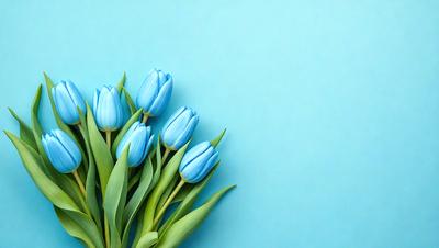 The primary subject of the image is a bouquet of blue tulips. The setting is a blue wall, which serves as the backdrop for the flowers. The visual style is a close-up of the flowers, showcasing their vibrant blue color. The overall atmosphere is serene and calming, as the blue tulips create a sense of tranquility against the blue wall.