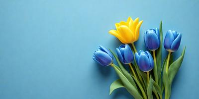 The primary subject of the image is a bouquet of blue and yellow tulips. The setting is a blue wall, which serves as the backdrop for the flowers. The visual style is a close-up of the flowers, showcasing their vibrant colors and details. The overall atmosphere is serene and calming, with the blue and yellow tulips adding a touch of natural beauty to the scene.