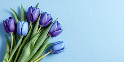 The primary subject of the image is a bouquet of purple flowers. The flowers are arranged in a vase, and they are placed against a blue background. The visual style of the image is a photo, capturing the beauty of the flowers in their natural setting. The colors and mood of the image are predominantly purple, creating a serene and calming atmosphere.