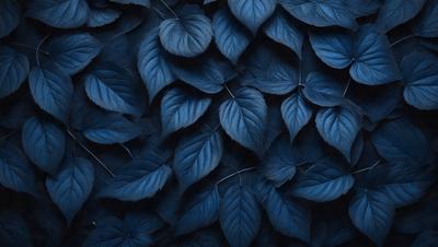 The primary subject of the image is a large blue leaf, which is the main object, scene, or focus of the image. The setting or background is a blue surface, which could be a wall, a fabric, or a painting. The visual style of the image is a close-up of the blue leaf, showcasing its details and texture. The dominant colors in the image are blue and green, creating a calm and serene atmosphere.
