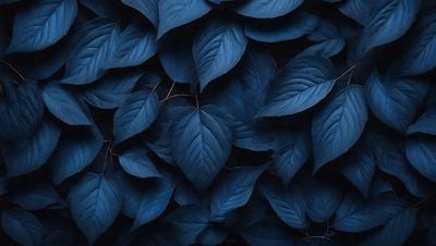 The primary subject of the image is a large blue leaf, which is the main object, scene, or focus of the image. The setting or background is a dark blue background, which creates a contrast with the blue leaf. The visual style of the image is a close-up of the blue leaf, showcasing its details and texture. The dominant colors in the image are blue, which creates a calm and serene atmosphere.