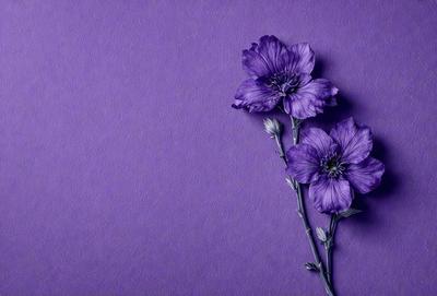 Purple flowers on a purple wall.