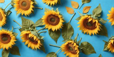 The primary subject of the image is a close-up of a sunflower. The setting is a blue background, which creates a contrast with the yellow sunflower. The visual style is a photo, capturing the details of the flower. The colors and mood of the image are predominantly yellow and vibrant, creating a cheerful and lively atmosphere.