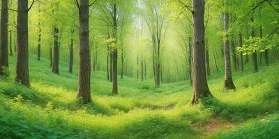 The primary subject of the image is a lush green forest filled with trees and grass. The setting is a serene, natural environment with a sunny day. The visual style is a photo of the forest, capturing the beauty of the trees and the vibrant greenery. The colors and mood of the image are predominantly green, creating a sense of tranquility and harmony with nature.