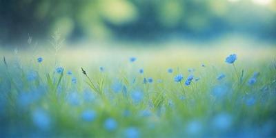 The primary subject of the image is a field of blue flowers, with a grassy background. The visual style appears to be a photo, capturing the beauty of the flowers in their natural environment. The colors and mood of the image are predominantly blue, creating a serene and peaceful atmosphere.