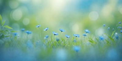The primary subject of the image is a field of blue flowers, with a total of 13 flowers visible. The setting is a grassy field, and the visual style is a photo. The dominant colors in the image are blue and green, creating a serene and peaceful atmosphere.