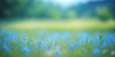 The primary subject of the image is a field of grass with blue flowers. The setting is a lush green field, and the visual style is a digital art or illustration. The dominant colors are blue and green, creating a serene and peaceful atmosphere.