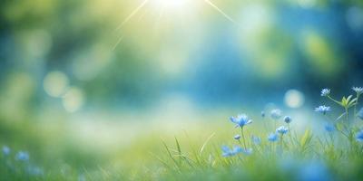 The primary subject of the image is a field of grass with blue flowers scattered throughout. The setting is a lush, green field with a blue sky in the background. The visual style is a natural, outdoor scene with a focus on the grass and flowers. The colors and mood are serene and peaceful, with the blue flowers and green grass creating a calming atmosphere.