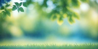 The primary subject of the image is a lush green field with a tree in the background. The setting is a sunny day, and the visual style is a photo. The dominant colors are green and yellow, creating a serene and peaceful atmosphere.