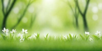The primary subject of the image is a white flower, which is the main focus of the scene. The setting is a lush green field, with a bright and sunny atmosphere. The visual style of the image is a digital art or illustration, creating a vibrant and colorful scene. The dominant colors are green and white, with the white flower standing out against the green background.
