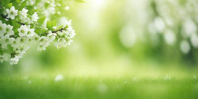 The primary subject of the image is a tree with white flowers, which is the main focus of the scene. The tree is located in a grassy field, creating a natural and serene setting. The visual style of the image is a photo, capturing the beauty of the tree and its surroundings. The colors in the image are predominantly green, with the white flowers adding a touch of elegance and purity to the scene. The overall atmosphere of the image is calm and peaceful, inviting the viewer to appreciate